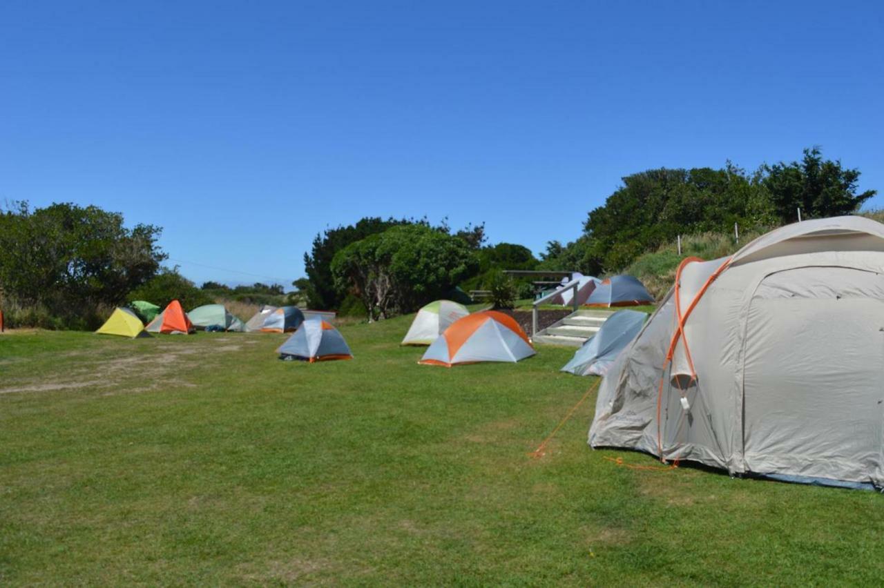 Dunedin Holiday Park Exterior photo